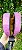 Shoulder bag pink - Imagem 4