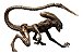 Estátua Dog Alien: Alien 3 Artfx+ Statue Escala 1/10 - Kotobukiya - Imagem 1