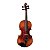 Violino Eagle 4/4 VK644 Master Series Envelhecido - Imagem 1