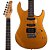 Guitarra Tagima Stratocaster Woodstock TG-510 MGY Dourada TG510 - Imagem 1
