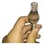 Sonda Lambda Superior Fiat Palio Weekend 1.5 Mec Gas 97 1997 - Imagem 8