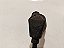 Sensor De Rotação Gm Corsa Celta 1.0 90451442 - Imagem 8
