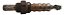 Sonda Lambda Fiat Uno Palio Punto 1.4 55218148 - Imagem 4