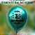 50 Balões  Latéx Verdes Metálilizado Personalizados Tema da sua Festa - Imagem 2