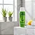 Shampoo TODA ALOE ( babosa) crescimento e fortalecimento - Imagem 2