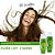 Shampoo e Condicionador TODA ALOE ( babosa) kit capilar babosa - Imagem 2