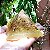 Orgonite Pirâmide Amarela - Prosperidade | 8x6 cm - Imagem 1