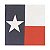 Bandana Bandeira Texas M&F Importada - Imagem 1