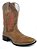 bota bico quadrado dallas bambu 50015 - bulls horse - Imagem 1