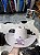 CHAPEU LONE STAR SILVER HEELS 6X FELTRO - Imagem 2
