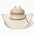 CHAPEU RESISTOL USTRC WILDFIRE REG 10X TEXAS 1911 - Imagem 2