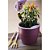 Vaso de Planta Autoirrigável Medio 15 x 15 x 13cm - Linha Plantar Ou - Imagem 1