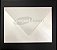 Envelope (REF 10 - 16,0 x 22,0 cm) Color Plus Metálico Aspen - Imagem 1