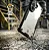 Capa para Samsung Galaxy S24 Ultra - Rugged Shield - Gshield - Imagem 5
