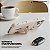 Capa para iPhone 17 Pro Max - Card Ring - Off White - Gshield - Imagem 2