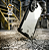 Capa para Samsung Galaxy S26 FE - Rugged Shield - Gshield - Imagem 2