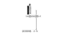 DISPOSITIVO PARA MEDIDA DE ALTURA DE CORPO DE PROVA COM RELOGIO - Imagem 4