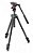 KIT TRIPE MANFROTTO BEFREE LIVE MK290LTA3-V - Imagem 1