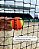 Kit de Beach Tennis Profissional Premium - Imagem 9
