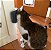 Escova De Parede Para Gatos 2 Em 1 ( Massagem e Tira Pelos ) com Catnip - Imagem 4