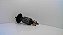 Induzido 220v Para Serra Circular Skill 5300- F000605041 - Imagem 1
