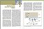 Microbiologia alterthum - 6ª Ed. 2015 - Imagem 3