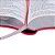 Bíblia Sagrada NTLH Letra ExtraGigante capa Pink - Imagem 4