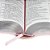 Bíblia Sagrada NTLH Letra Gigante Rosa Claro - Imagem 5