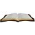 Bíblia NAA Letra Grande capa Caramelo com Zíper - Imagem 5
