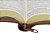 Bíblia ARC Letra Grande capa Caramelo com Zíper - Imagem 4