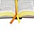 Bíblia ARC Letra Grande capa Leão - Imagem 6