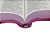 Bíblia ARC Letra Grande com Zíper capa Pink - Imagem 4