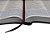 Bíblia Missionária de Estudo capa Vinho - Imagem 9