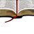 Bíblia NAA com Harpa e Letra Grande capa Preta - Imagem 5