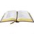 Bíblia NAA Letra Grande capa Marrom Nobre - Imagem 4