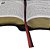 Bíblia de Estudo Genebra Letra Grande capa Couro Legítimo - Imagem 12