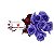 Buque 6 Rosas Azuis - Imagem 1