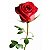 Rosa Solitária Vermelha - Imagem 1