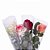 Combo 30 Rosas Colorida Embalada Individual - Imagem 2