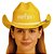 Chapéu Cowboy EVA Adulto Unissex Personalizado – Fabricação Própria - Imagem 1