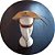 Chapéu Cangaceiro(Coquinho) Luxo de E.V.A - Adulto e Infantil Fabricação própria - Imagem 2