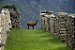 Peru Machu Picchu, Cusco, Vale Sagrado e Lago Humantay de 7 dias. Saídas diárias. - Imagem 18