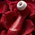Vibrador Satisfyer Pro 2 INTT By Deborah Secco 11 Intensidades - Imagem 5