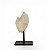 Objeto Decorativo Drusa de Cristal 12 - Imagem 1