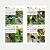 Guia de Identificação: Aves do Estado de São Paulo - Pré-venda! - Imagem 2