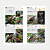 Guia de Identificação: Aves do Estado de São Paulo - Pré-venda! - Imagem 5