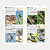 Guia de Identificação: Aves do Estado de São Paulo - Pré-venda! - Imagem 3