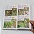 Combo 2 Livros - Aves do Rio Grande do Sul e Aves de Santa Catarina (Guia de Identificação) - Imagem 8