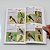 Combo 2 Livros - Aves do Rio Grande do Sul e Aves de Santa Catarina (Guia de Identificação) - Imagem 9