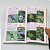 Combo 2 Livros - Aves do Rio Grande do Sul e Aves de Santa Catarina (Guia de Identificação) - Imagem 11